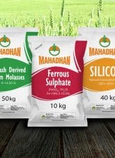 Ferrous Sulphate - Mahadhan