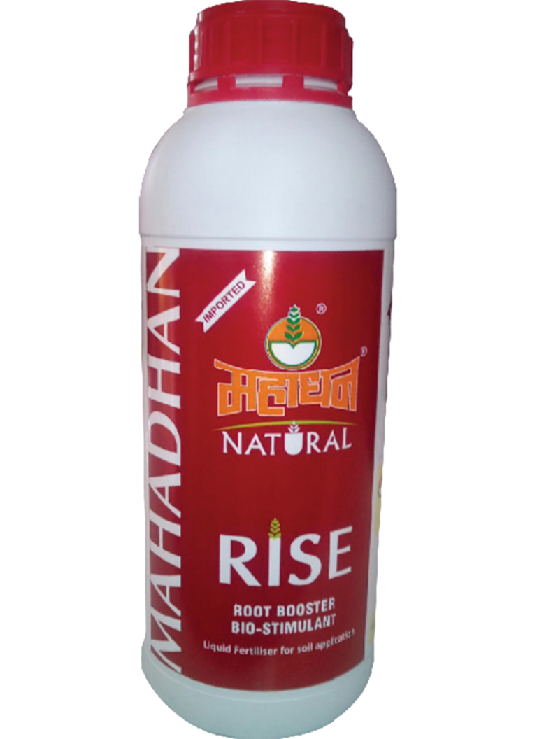 Liquid Fertilizer Liquid Fertilizer for Rise Mahadhan Rise Liquid