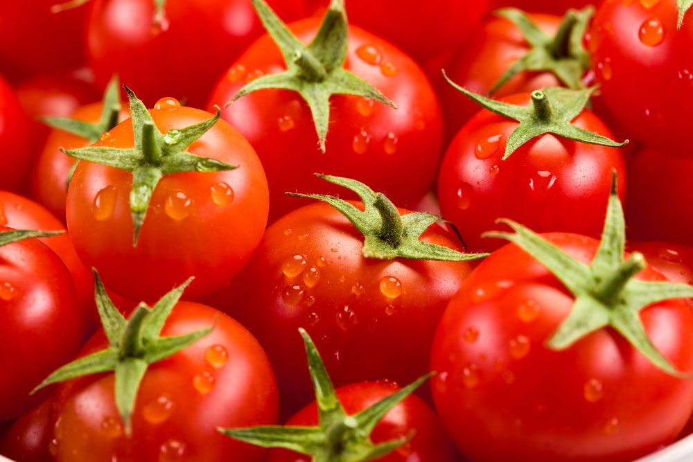 7 tips to Get the Best Tomato Yield