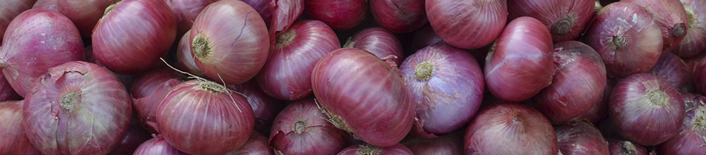 Onion Farming